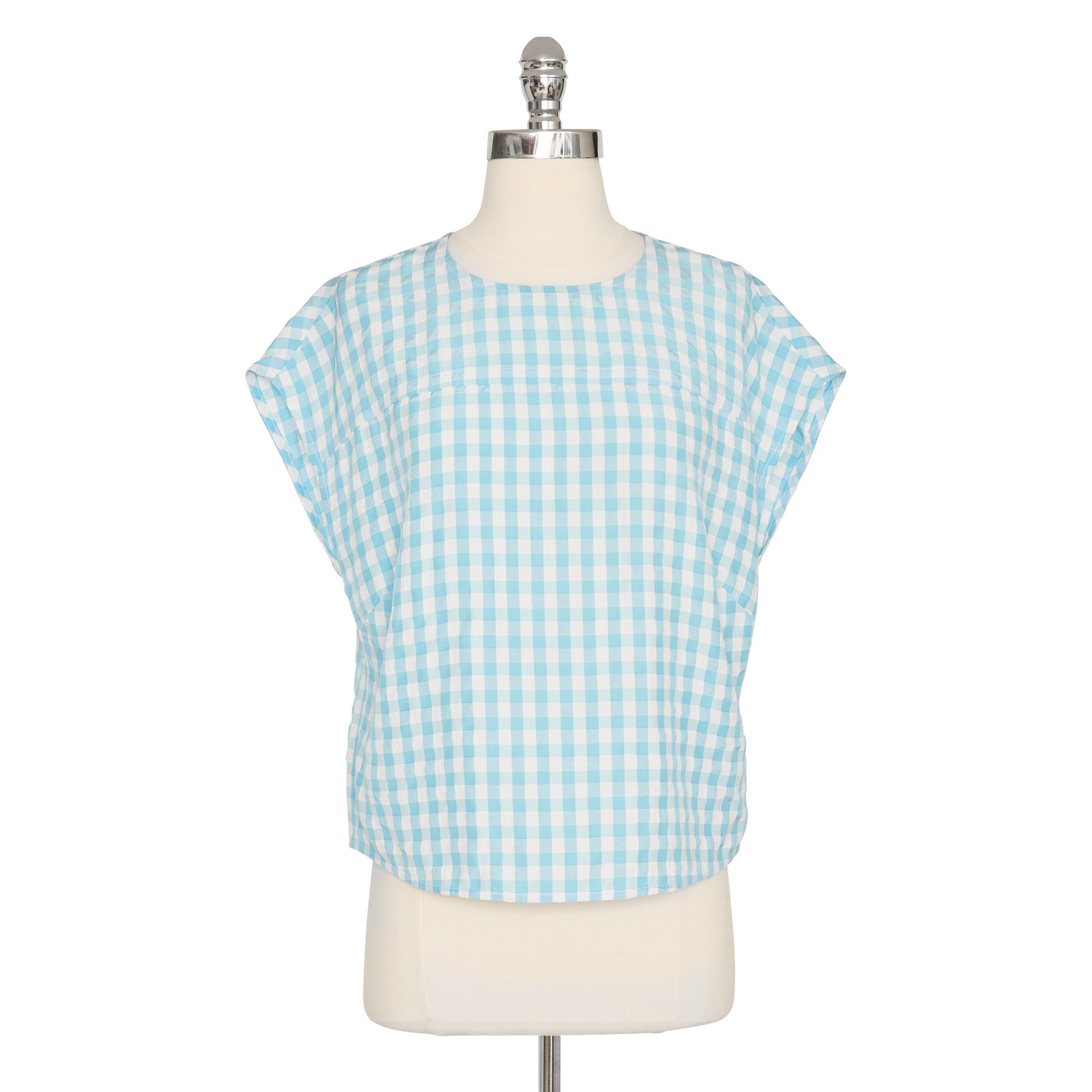 Blue White Gingham