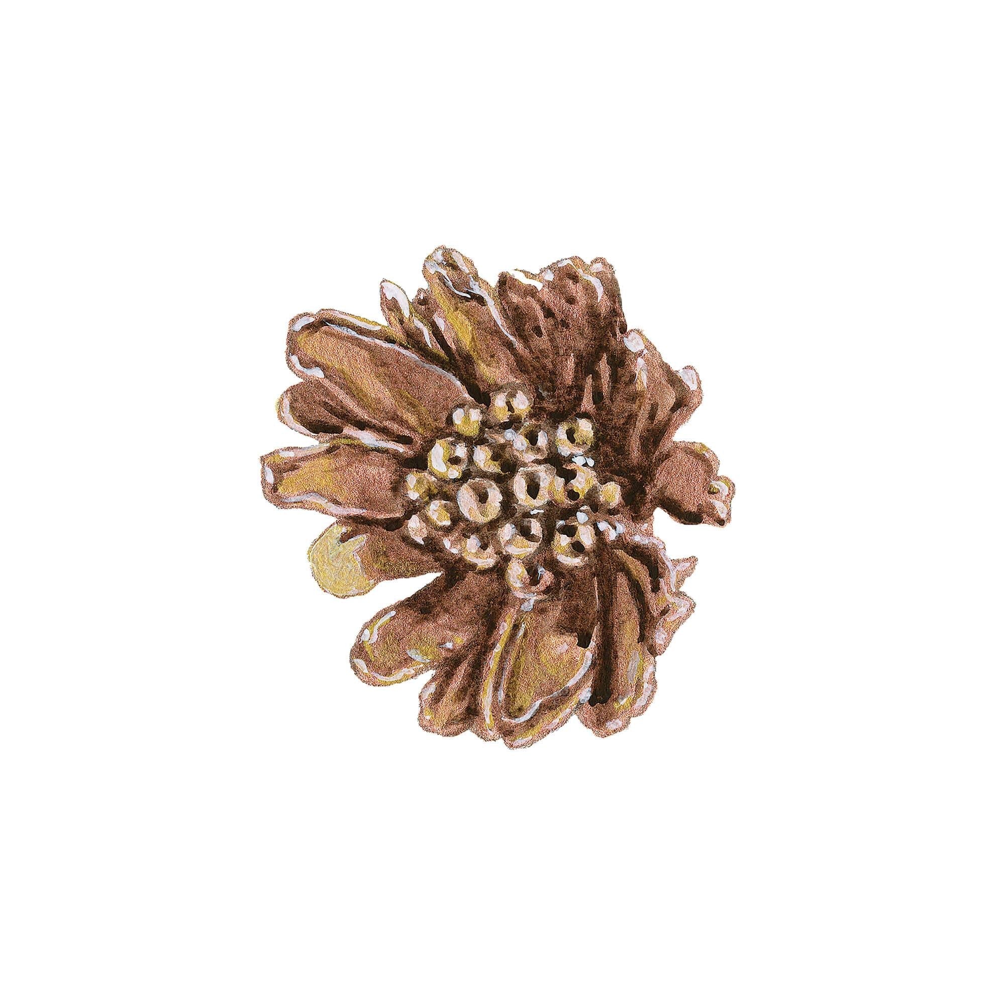 Daisy Brass Stud