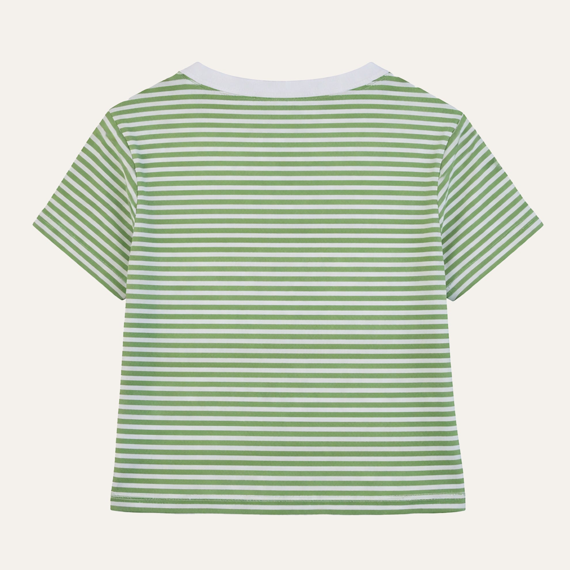 Pima Knit Relaxed CrewGreen Stripe