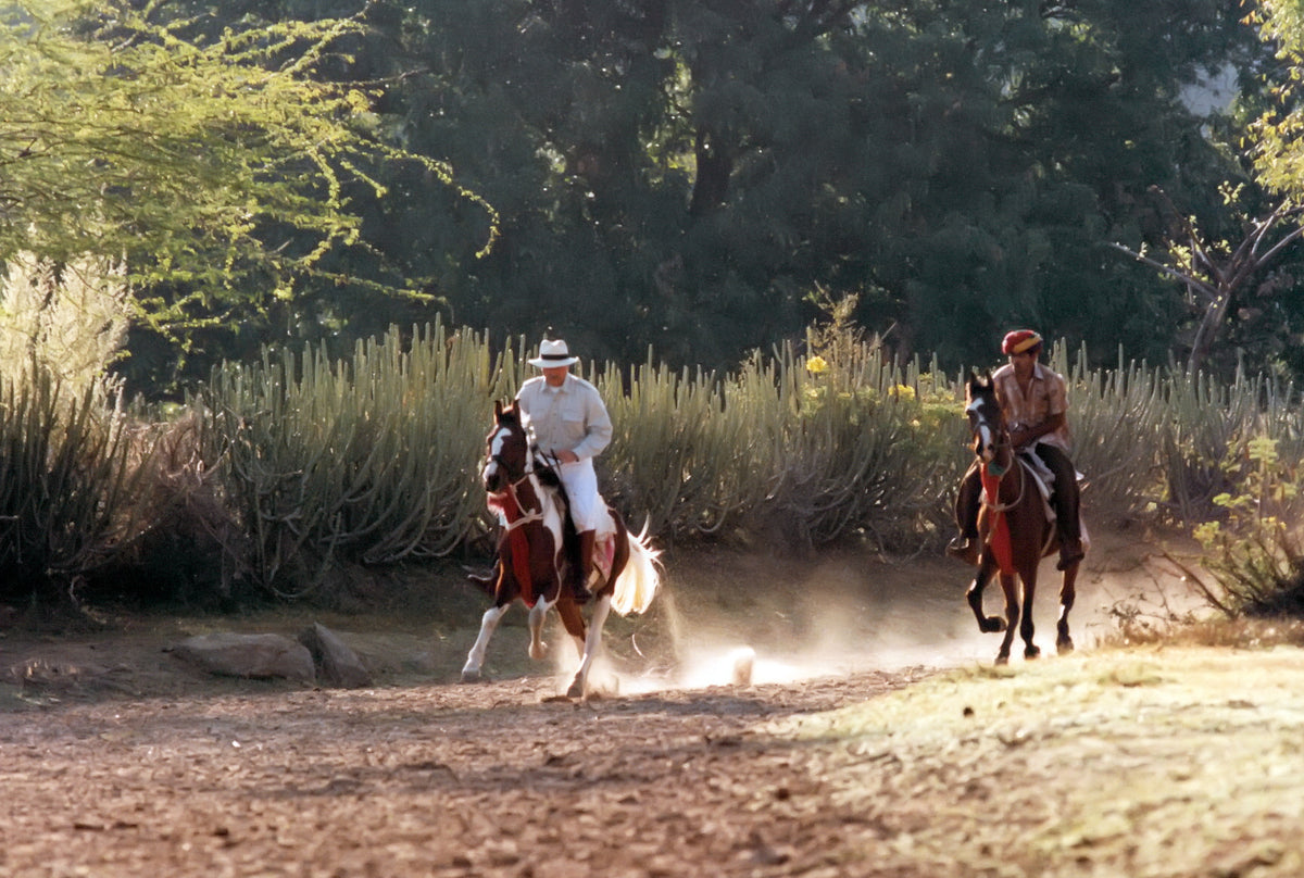 Request A Catalog The J. Peterman Company