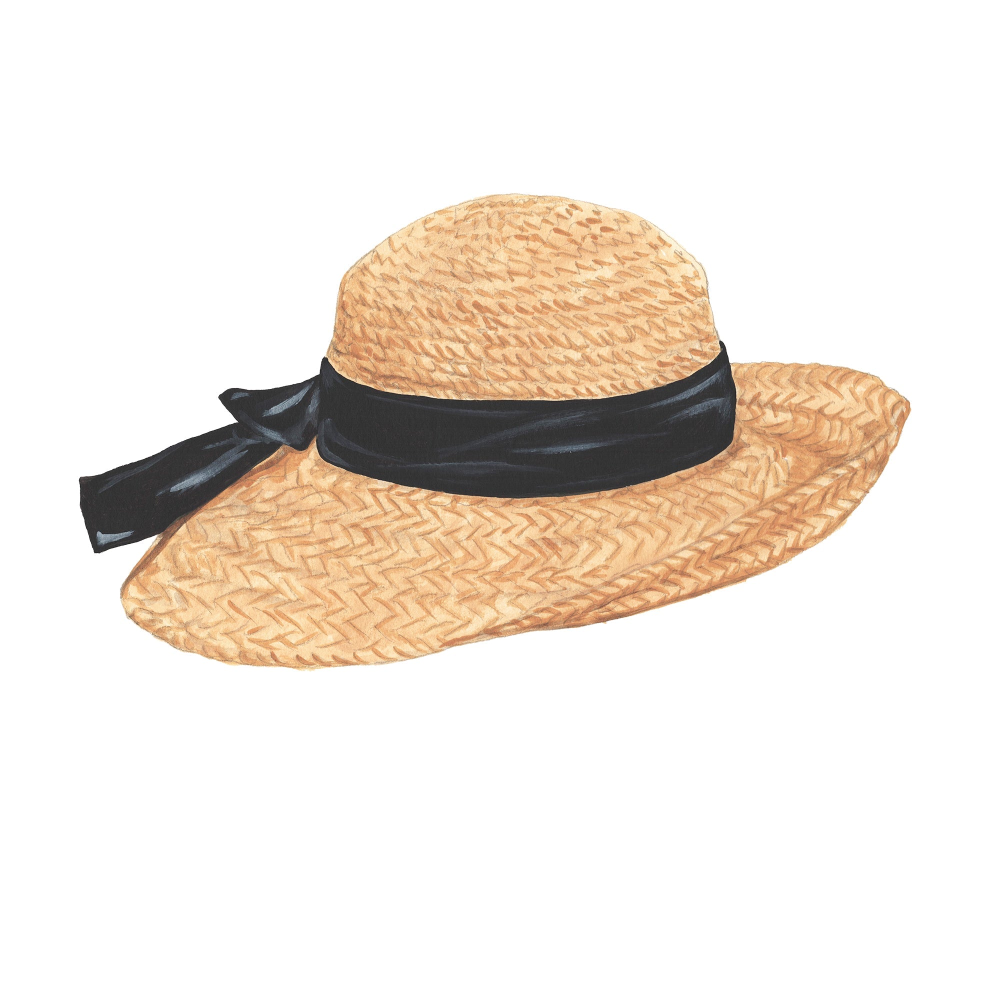 Big rimmed hat online