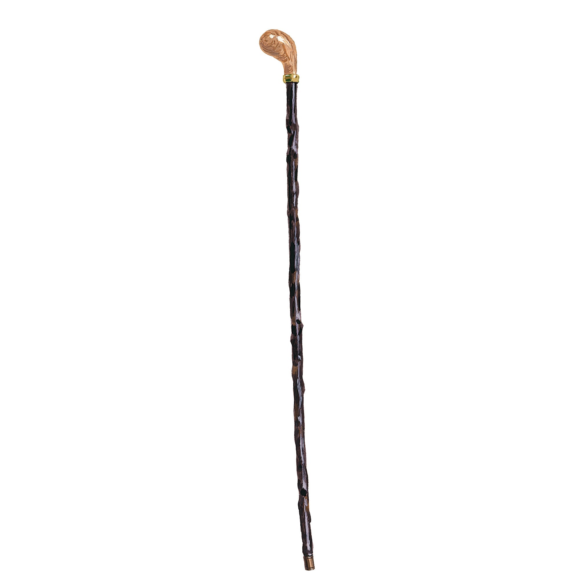 Pistol Grip Blackthorn Cane - The J. Peterman Company