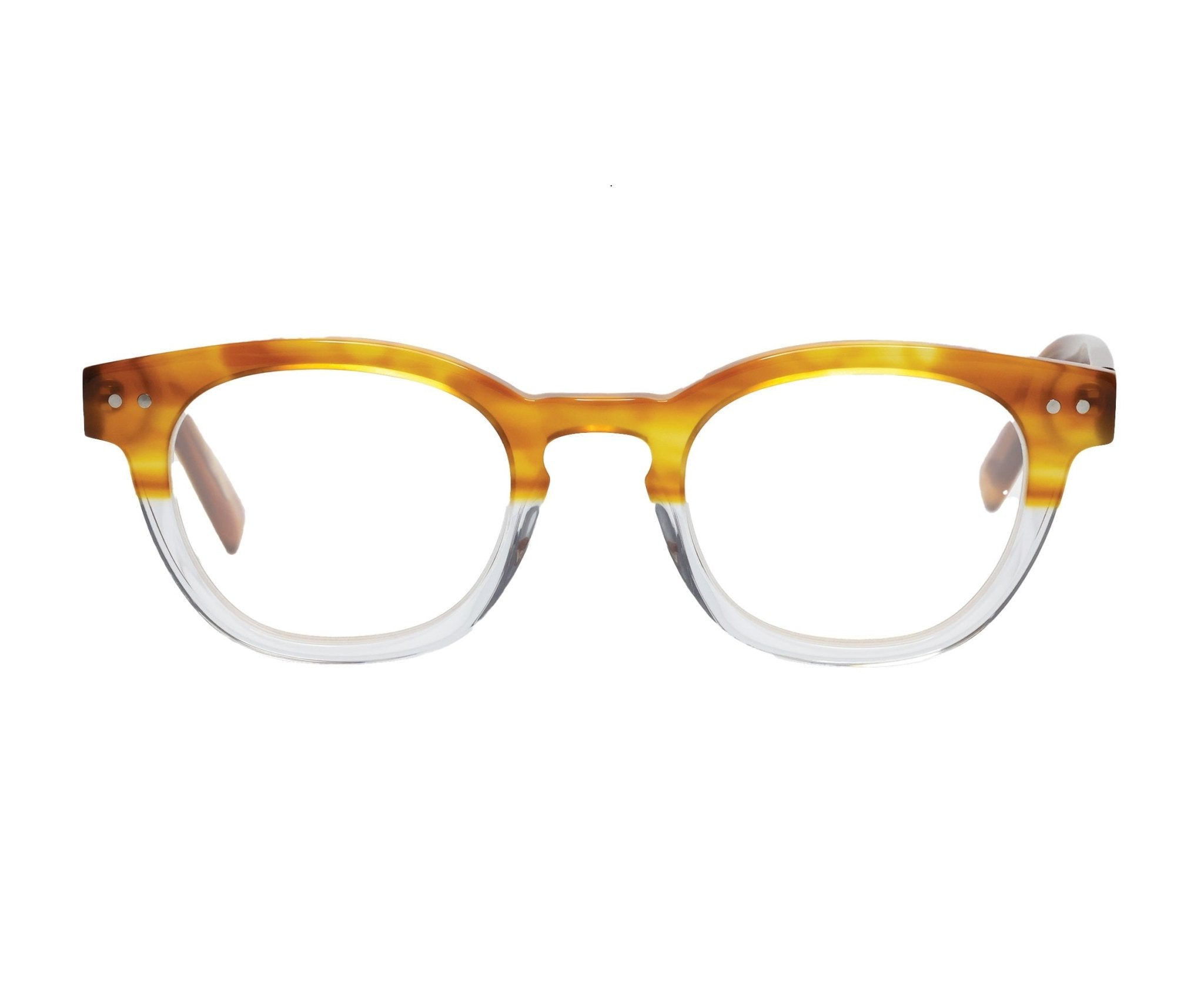 Translator ReadersBlack Tortoise