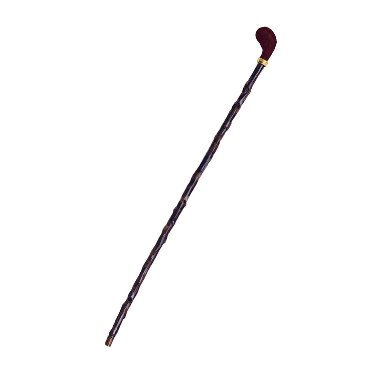 The Blackthorn Walking Stick